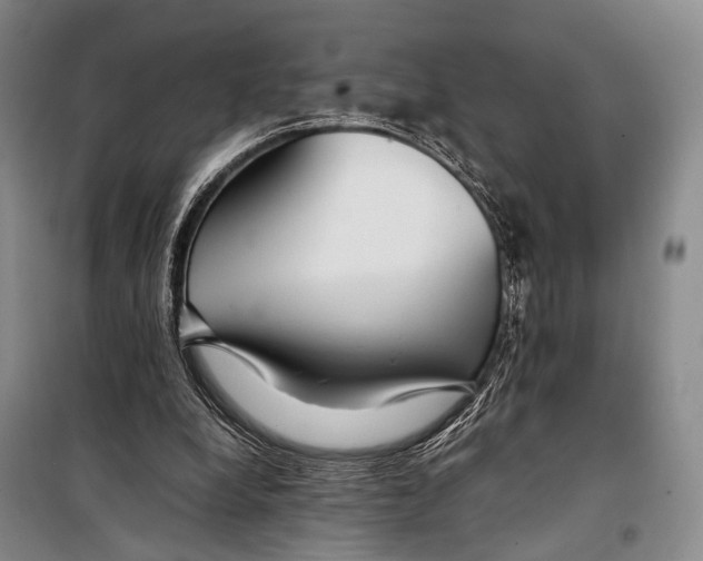 X0000098220248200805151324