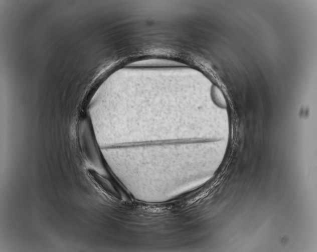 X0000098220249200805151324