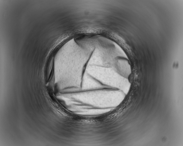 X0000098220250200805151324