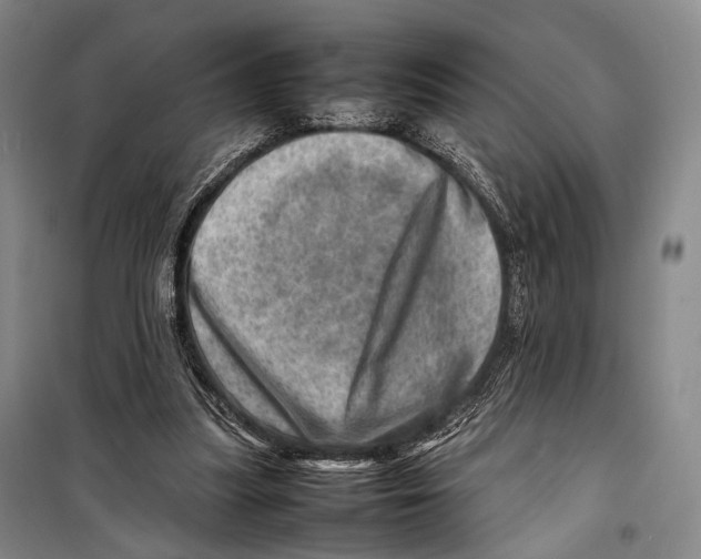 X0000098220251200805151324