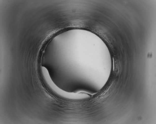 X0000098220252200805151324