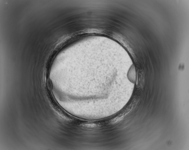 X0000098220253200805151324