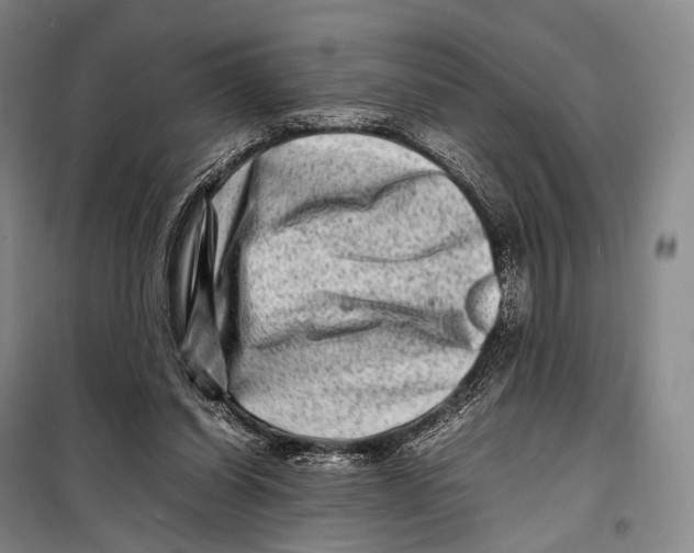 X0000098220254200805151324