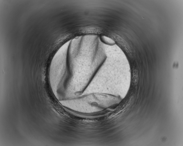 X0000098220255200805151324