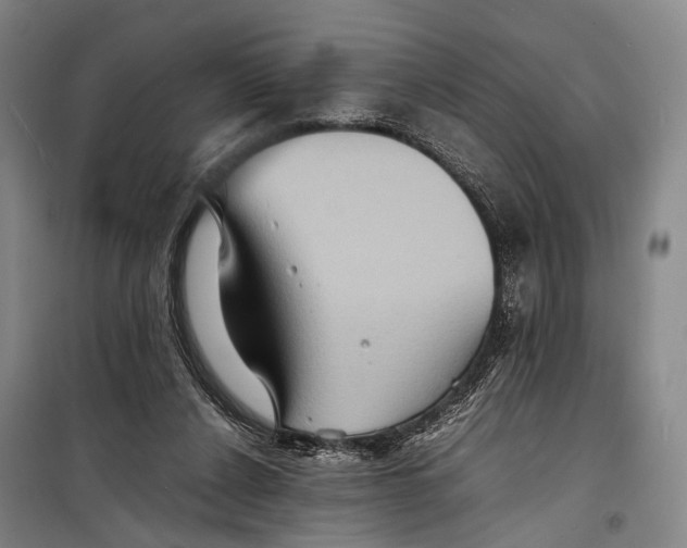 X0000098220256200805151324