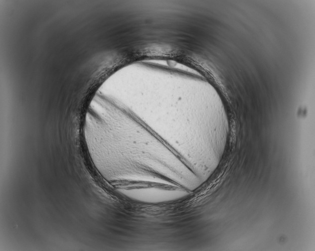 X0000098220257200805151324