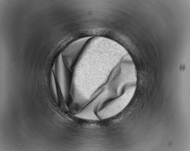 X0000098220258200805151324