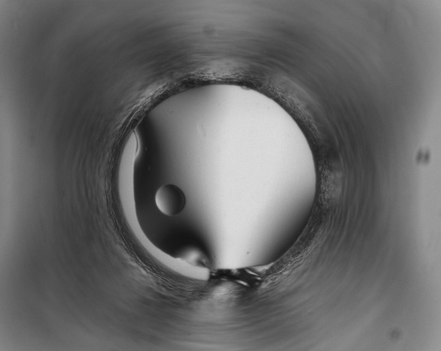 X0000098220260200805151324