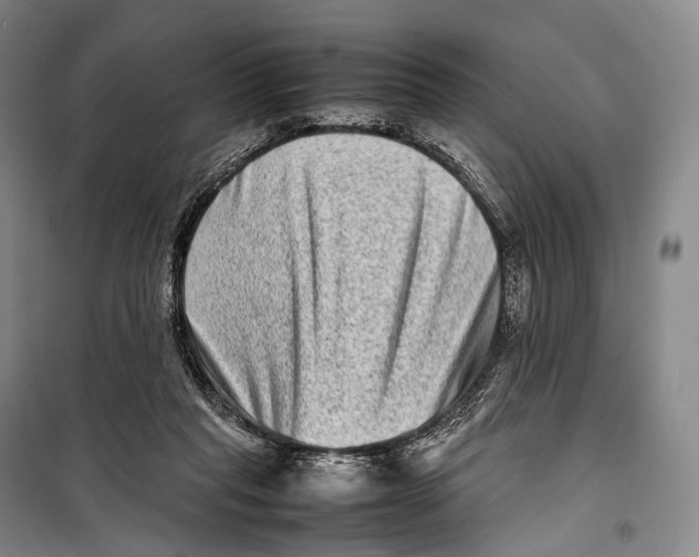 X0000098220261200805151324