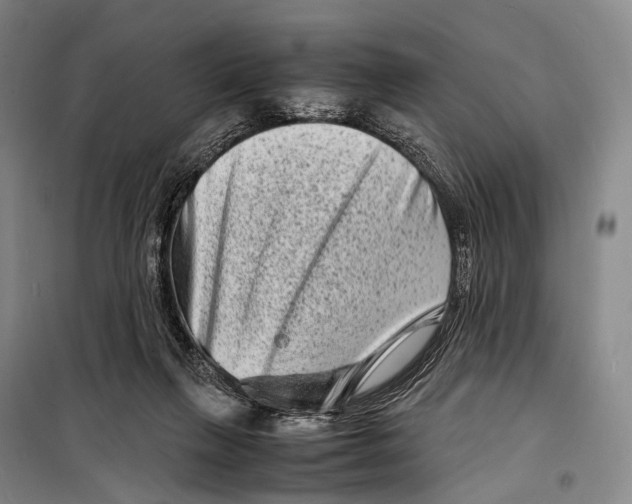 X0000098220263200805151324