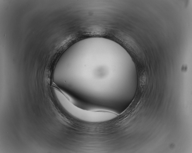 X0000098220264200805151324