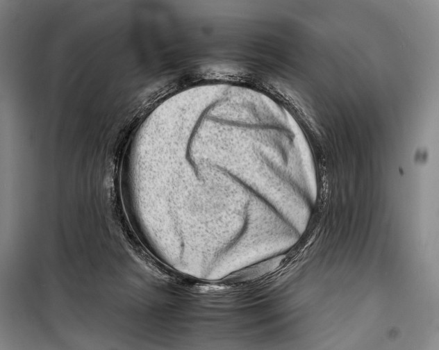 X0000098220265200805151324