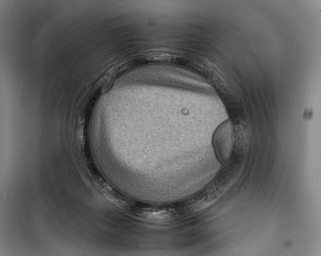 X0000098220267200805151324