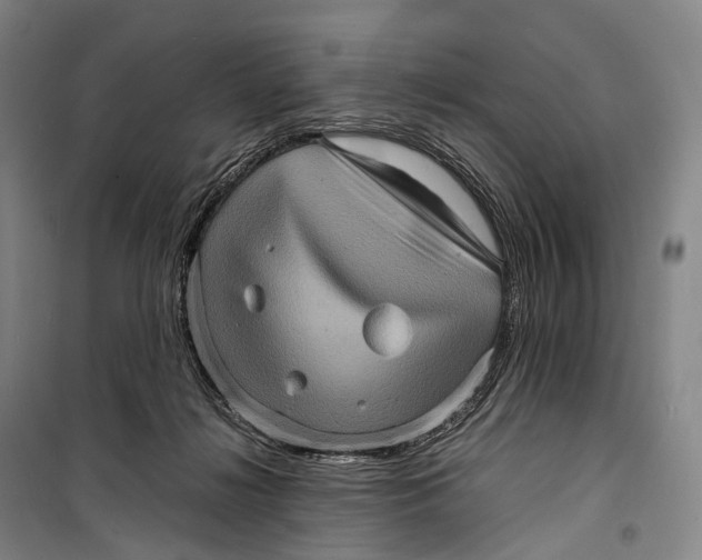 X0000098220268200805151324