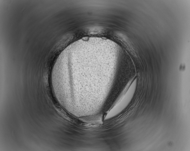 X0000098220269200805151324