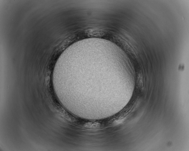 X0000098220271200805151324