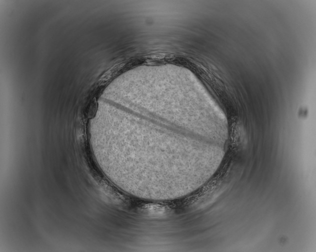 X0000098220272200805151324