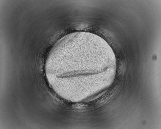 X0000098220273200805151324