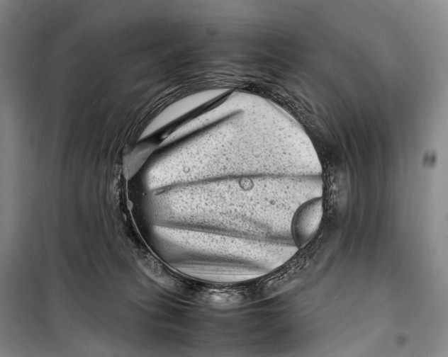 X0000098220275200805151324