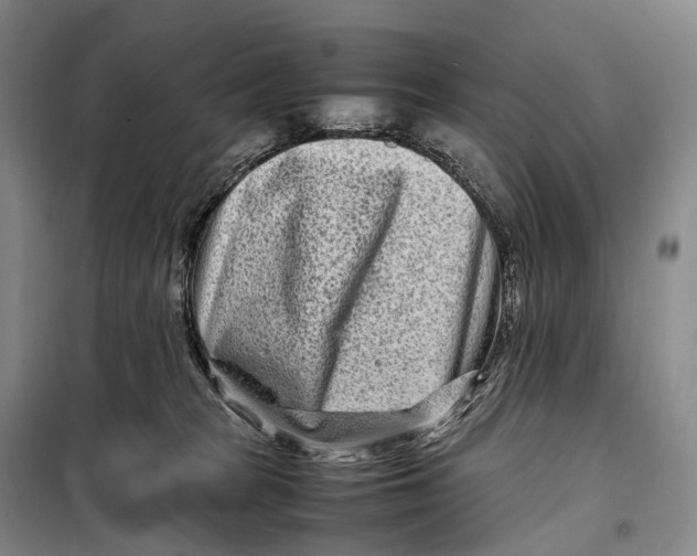 X0000098220277200805151324