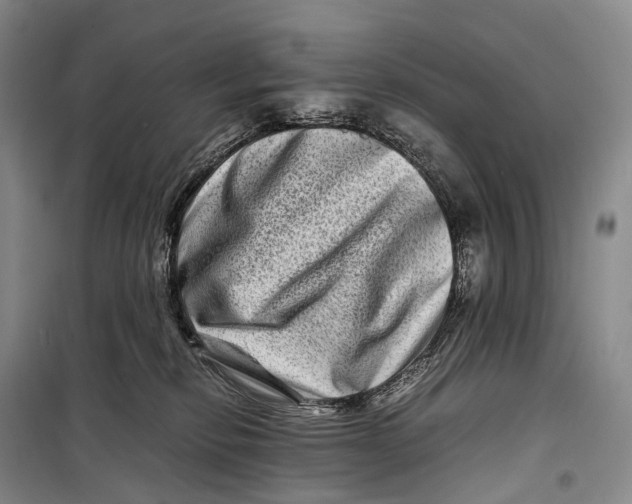 X0000098220278200805151324