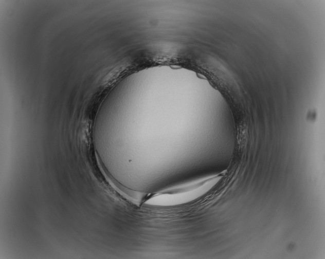 X0000098220280200805151324