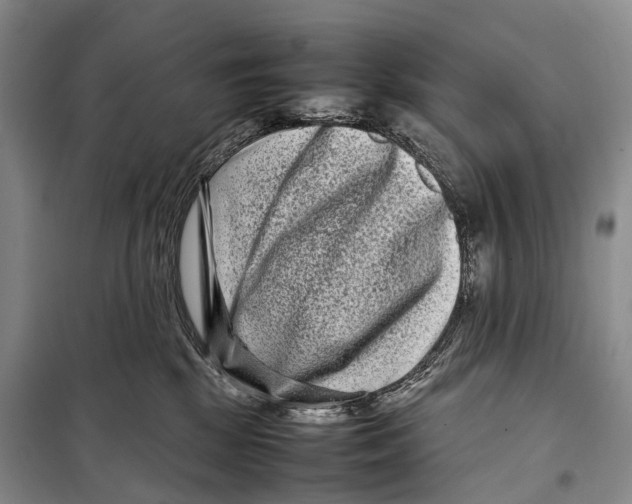 X0000098220281200805151324