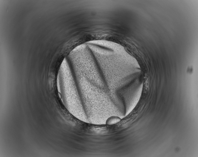 X0000098220283200805151324