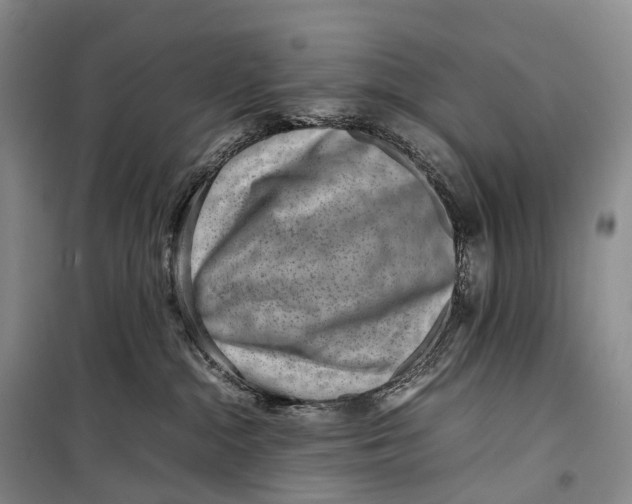 X0000098220284200805151324