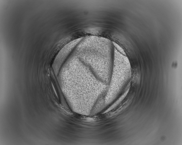 X0000098220285200805151324