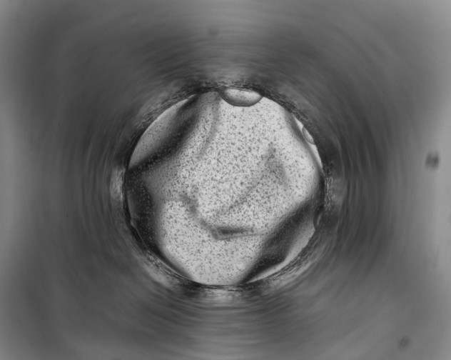 X0000098220286200805151324