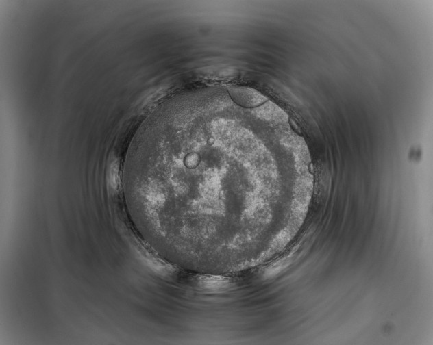 X0000098220287200805151324