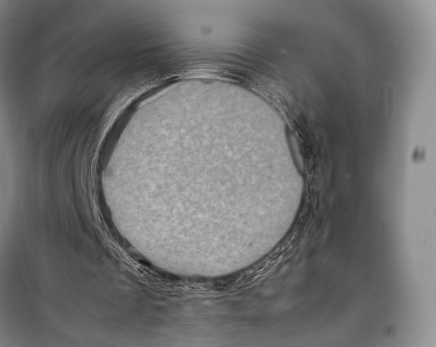 X0000098220289200805151324