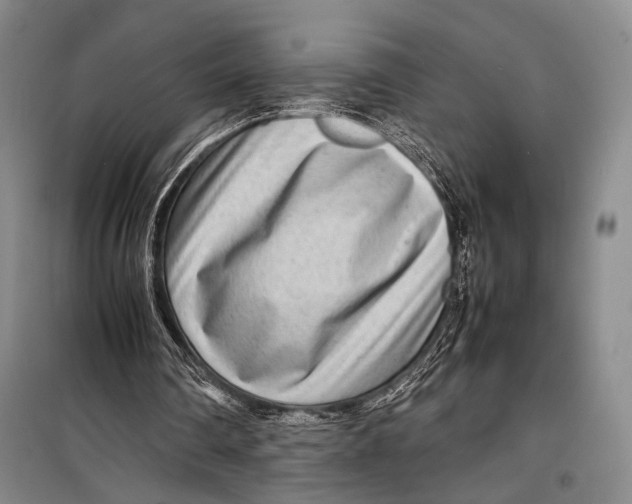 X0000098220290200805151324