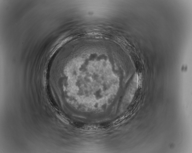 X0000098220291200805151323