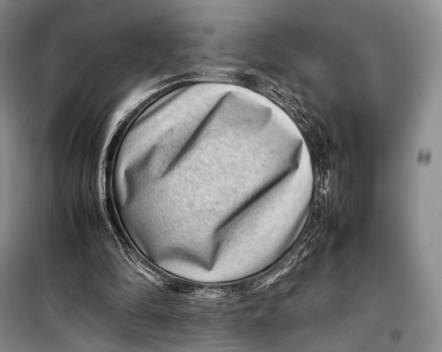 X0000098220294200805151323