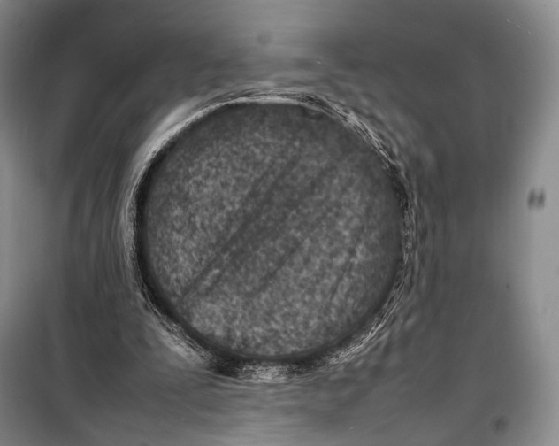 X0000098220295200805151323