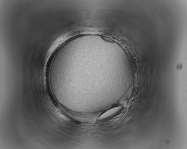 X0000098220296200805151323