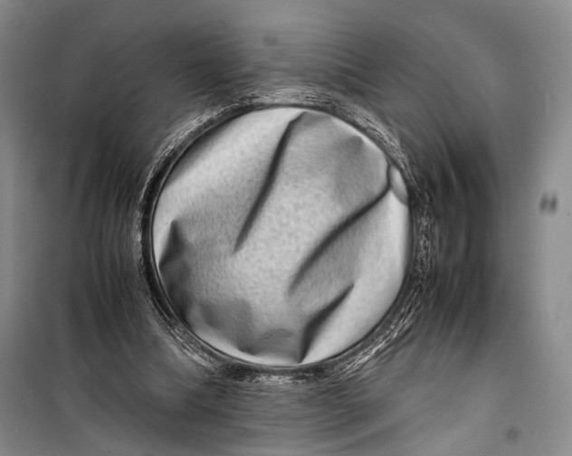 X0000098220298200805151323