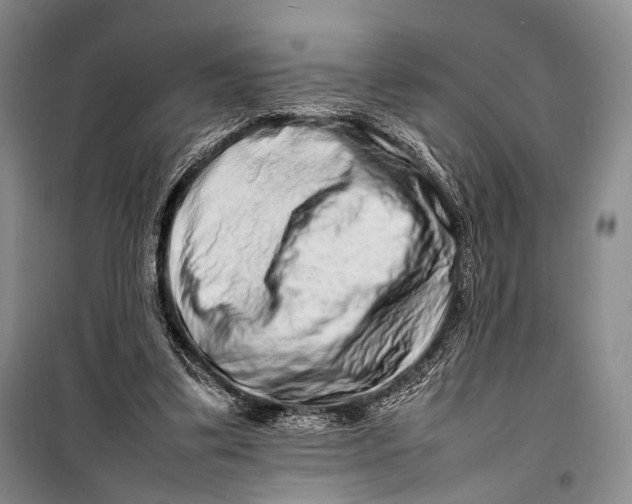 X0000098220299200805151323