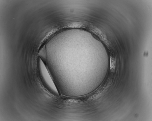 X0000098220300200805151323