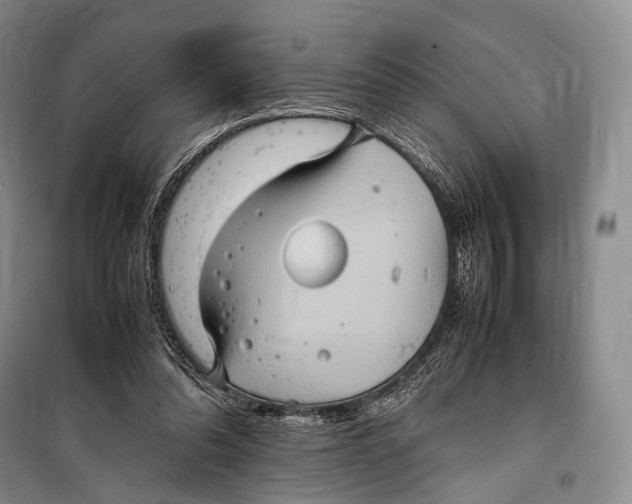 X0000098220302200805151323