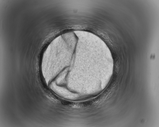 X0000098220303200805151323