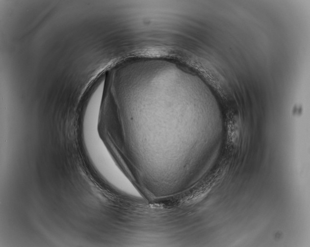 X0000098220304200805151323