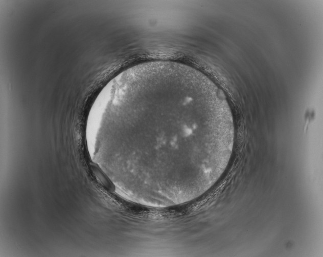 X0000098220305200805151323