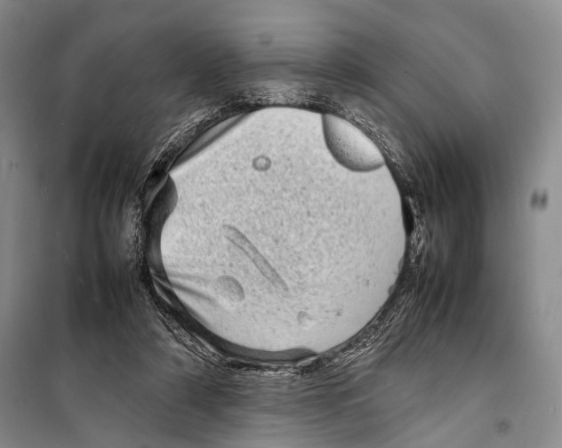 X0000098220306200805151323