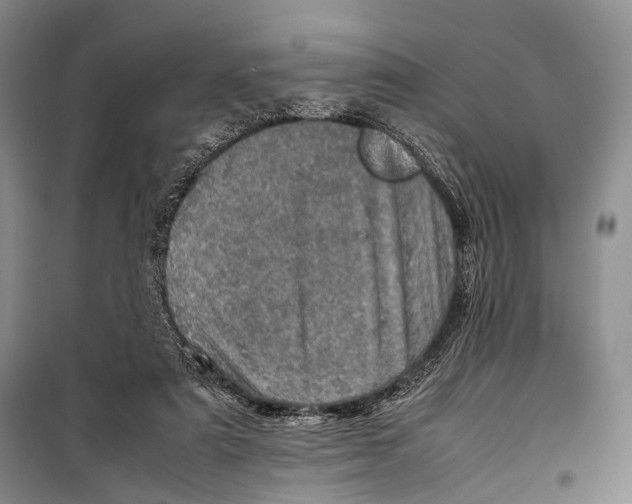 X0000098220307200805151323