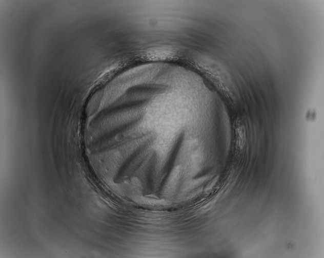 X0000098220308200805151323