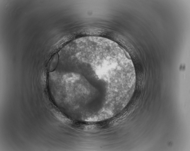 X0000098220309200805151323