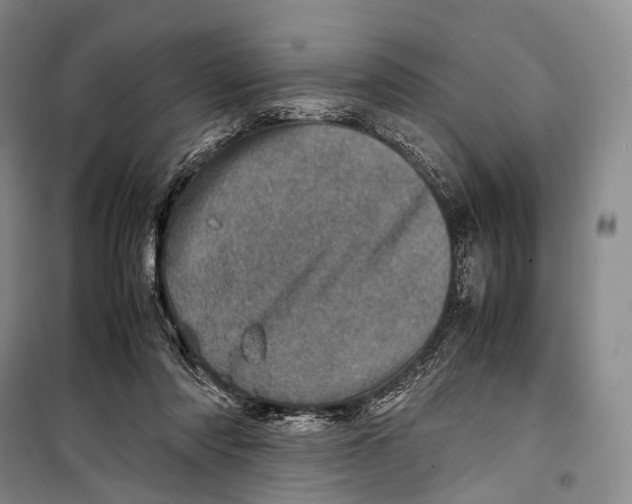 X0000098220310200805151323